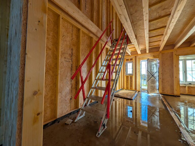 PXL 20251203 095743741